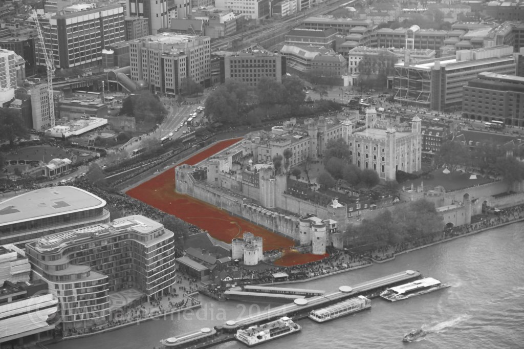 londonpoppies8.jpg