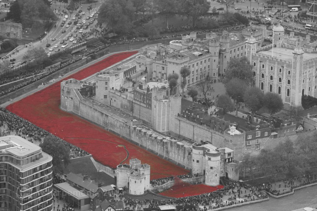 londonpoppies9.jpg